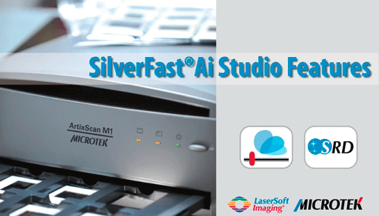 Silverfast